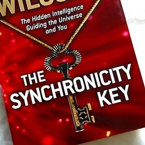 The Synchronicity Key hardcover book David Wilcox